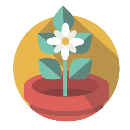 splash_icon